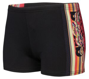 ARENA PALETTE ERKEK ÇOCUK YÜZÜCÜ MAYOSU 008099530