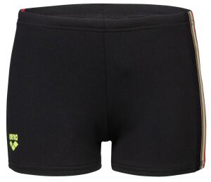 ARENA PALETTE ERKEK ÇOCUK YÜZÜCÜ MAYOSU 008099530