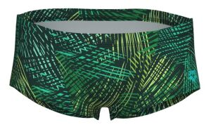 ARENA ENERGY ERKEK YÜZÜCÜ MAYOSU 008176610