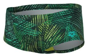 ARENA ENERGY ERKEK YÜZÜCÜ MAYOSU 008176610