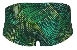 ARENA ENERGY ERKEK YÜZÜCÜ MAYOSU 008176610