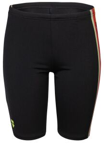 ARENA PALETTE ERKEK ÇOCUK YÜZÜCÜ MAYOSU 008098530