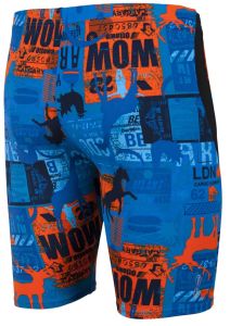 ARENA PASSPORT ERKEK YÜZÜCÜ MAYOSU 1A72378