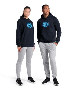 ARENA LOGO UNISEX HOODIE 005335710