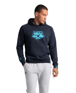ARENA LOGO UNISEX HOODIE 005335710