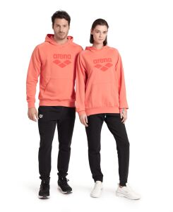 ARENA GRAPHIC UNISEX HOODIE 007230900