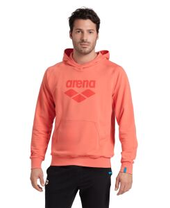 ARENA GRAPHIC UNISEX HOODIE 007230900