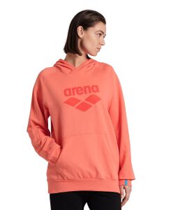 ARENA GRAPHIC UNISEX HOODIE 007230900