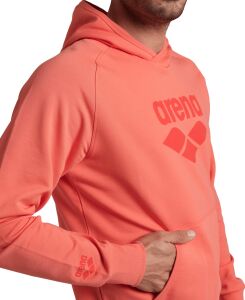 ARENA GRAPHIC UNISEX HOODIE 007230900