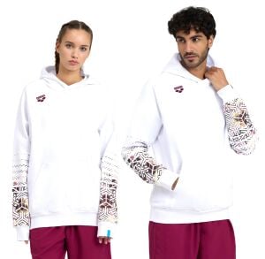 ARENA LOGO UNISEX HOODIE 005335103