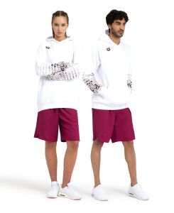 ARENA LOGO UNISEX HOODIE 005335103