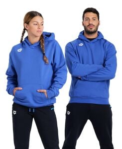 ARENA TEAM UNISEX HOODIE 004904800