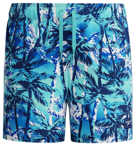 SPEEDO DIGI PRINT 13'' ERKEK ÇOCUK ŞORT MAYO 8-00318918113