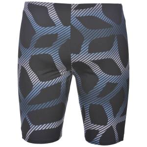 ARENA SPIDER ERKEK YÜZÜCÜ MAYOSU 000055501