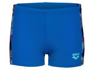 ARENA CANDIES ERKEK ÇOCUK YÜZÜCÜ MAYOSU 010299770